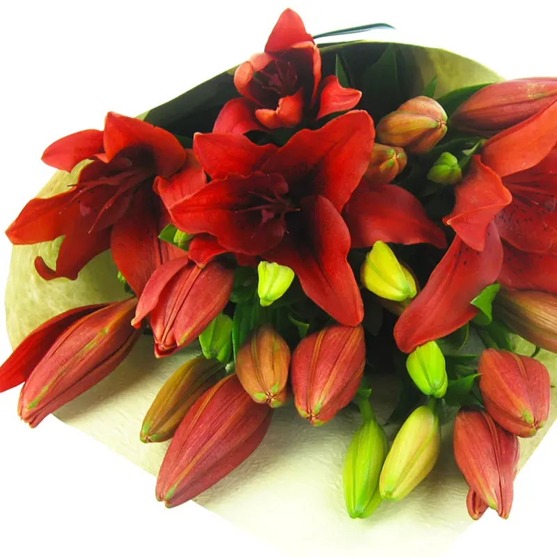 Букет Пронзительный взгляд