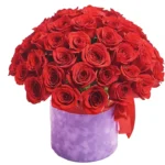 Композиция из 51 розы красного цвета в шляпной коробке